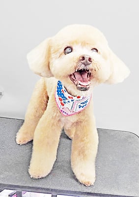 堀内まりもちゃん