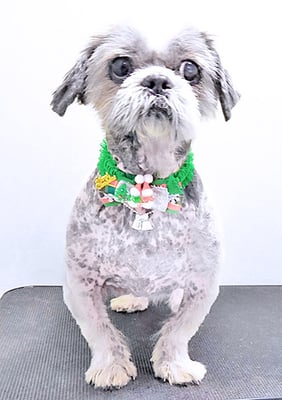 有馬陸斗ちゃん