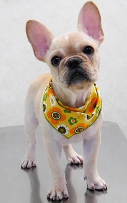 山下ウタちゃん