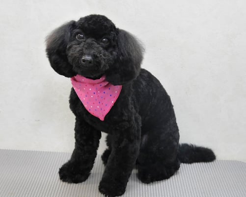 竹内すみれちゃん