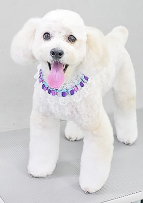 長谷ラナちゃん