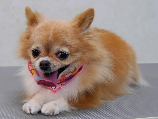 川田オカンちゃん