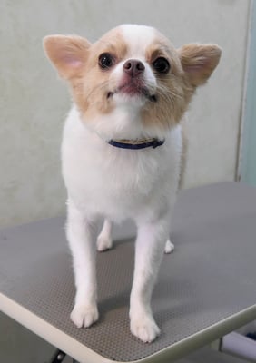 良久ちぃたちゃん