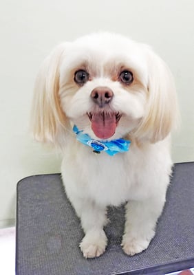 大脇ココアちゃん