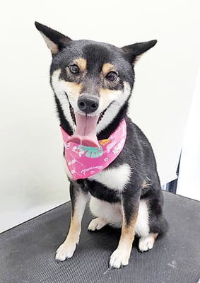 西元風子ちゃん