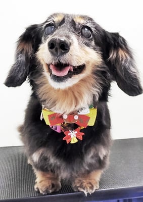 谷口チョコちゃん