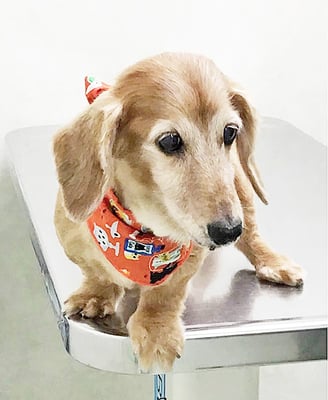 中山ジンちゃん