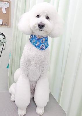 内倉パルちゃん