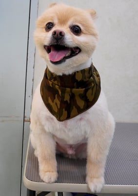 徳留クマちゃん