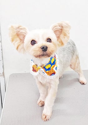 源川源之介ちゃん