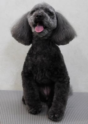 森崎ラブちゃん