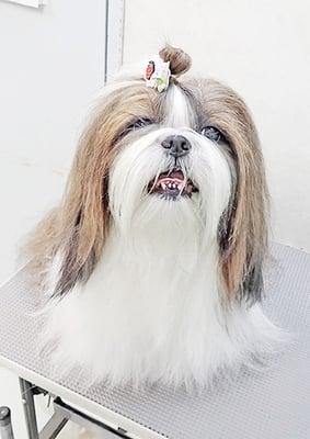 眞邉モモちゃん