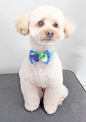 藤久保くうたちゃん