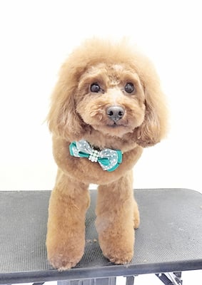 青山弦之介ちゃん