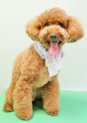 竹元ノンタンちゃん