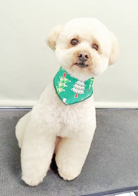 藤久保くうたちゃん