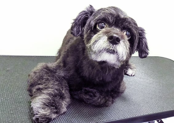 濵田リヨンちゃん