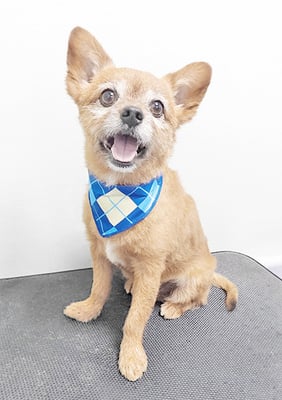 助村ルウちゃん