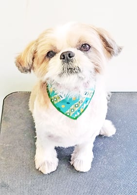 並木ランちゃん