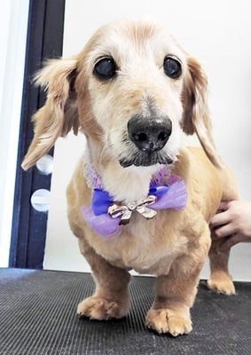 中山ジンちゃん