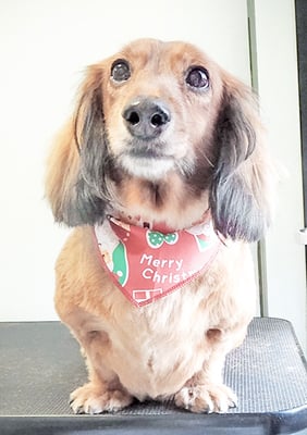 竪山イブちゃん