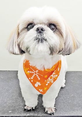 久永ナルちゃん