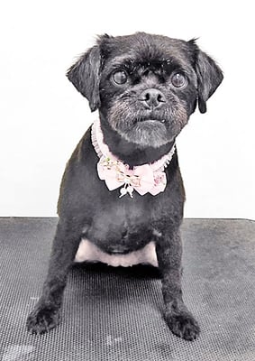 徳田あずきちゃん