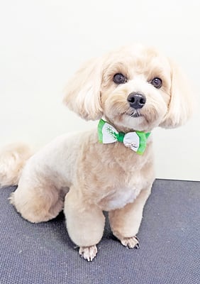 平松レオンちゃん