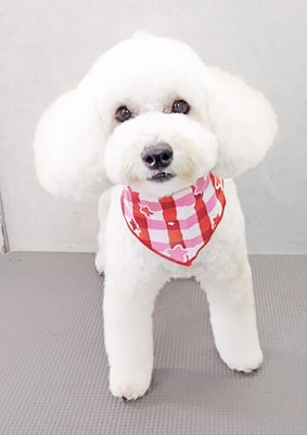 長谷ラナちゃん