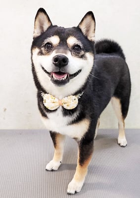 岩﨑レイちゃん