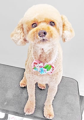 玉利ココちゃん