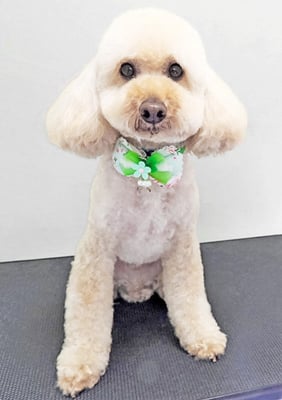 室ポン太ちゃん