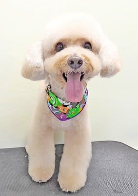 松田めろんちゃん