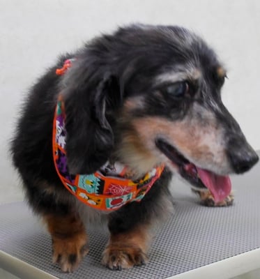 西山ユウちゃん