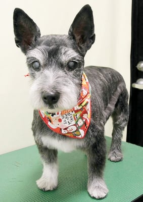 蔵薗ヒメちゃん