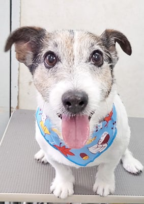 外園マロちゃん