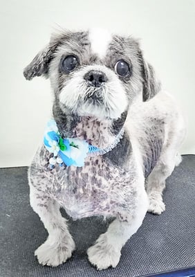 有馬陸斗ちゃん