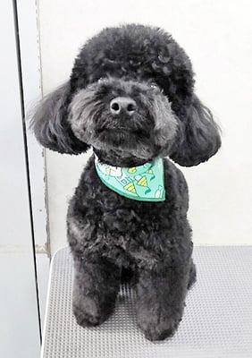 野口サニーちゃん