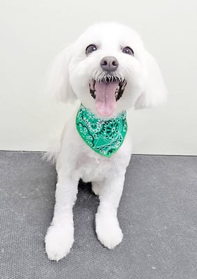 中山まるちゃん