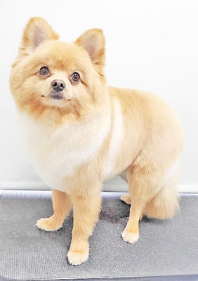 松﨑まるちゃん