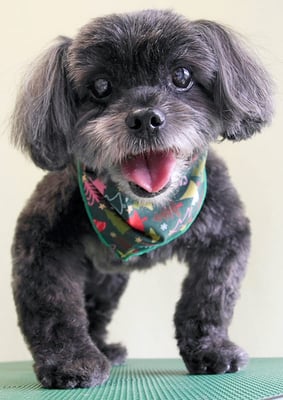 八郷ベンちゃん