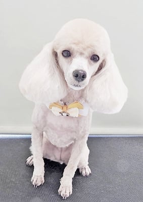 新留モコちゃん