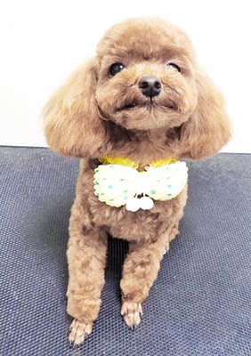 高根恒吉ちゃん