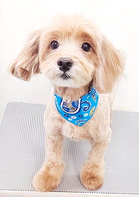 松尾かいちゃん