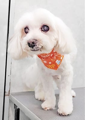 山口ふうたちゃん