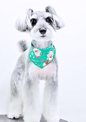 糸山そらちゃん