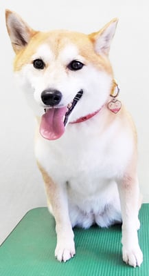 小村ゆずちゃん