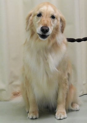 美代ジューンちゃん