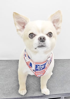 林レオンちゃん