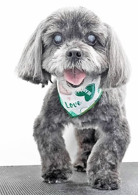 八郷ベンちゃん